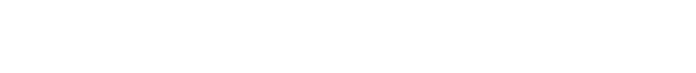 WinTogether full word logo in white
